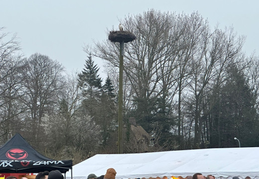 Osterfeuer – Bild 23