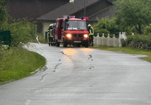 Übungsdienst, Gast: FF Böel – Bild 22