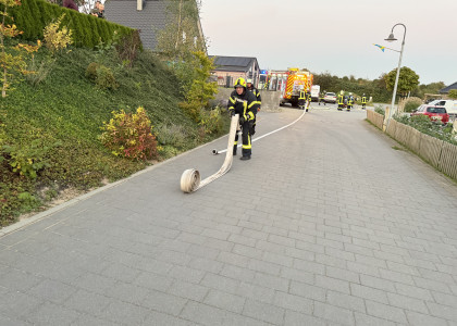 Übungsdienst Flächenbrand – Bild 11