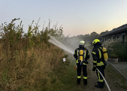 Übungsdienst Flächenbrand – Bild 13