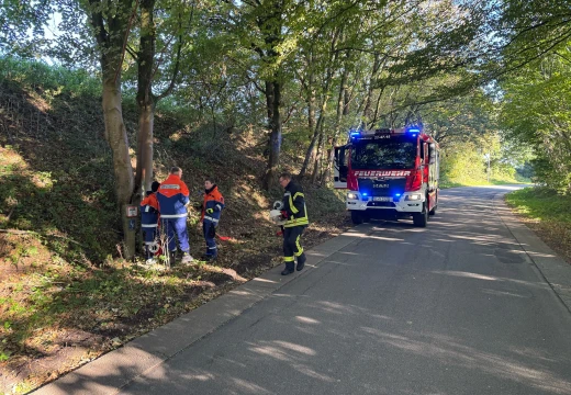 Arbeitsdienst & Hydranten-Spülen – Bild 29