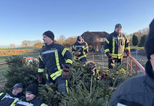 Tannenbaum-Einsammeln – Bild 2