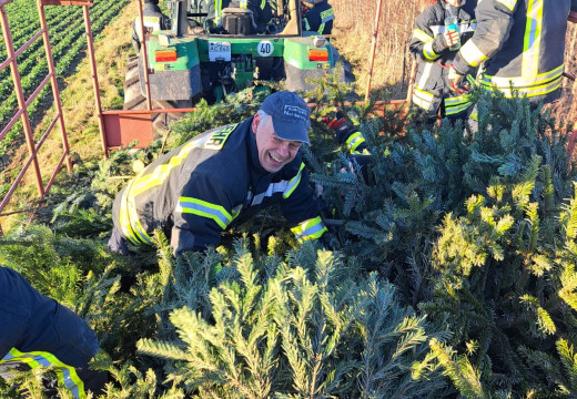 Tannenbaum-Einsammeln – Bild 11