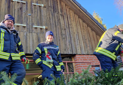 Tannenbaum-Einsammeln – Bild 15