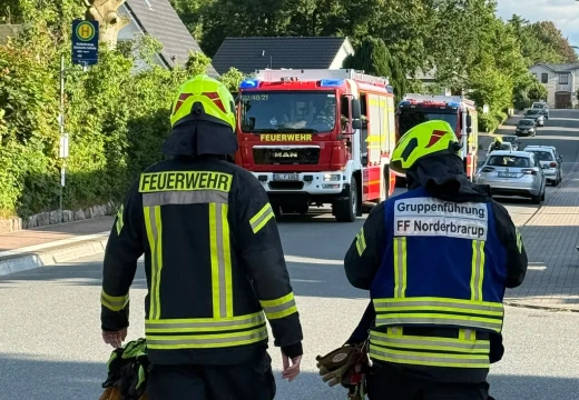 Gemeinsame Übung mit der FF Süderbrarup – Bild 1