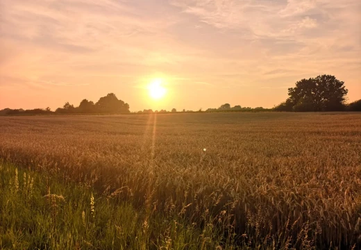 Funkrallye 2025 – Bild 19