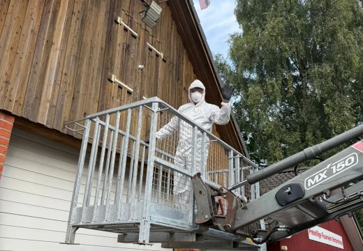 Arbeitsdienst – Bild 2