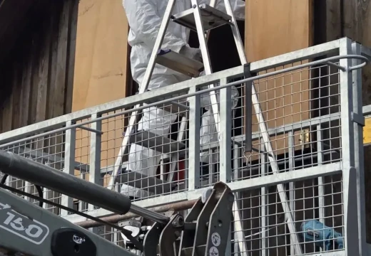 Arbeitsdienst – Bild 28