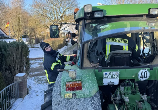 Tannenbaumaktion – Bild 1