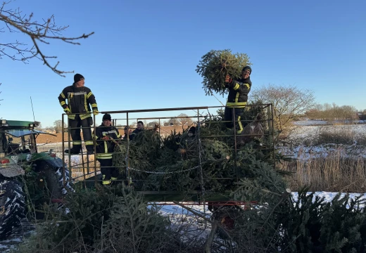 Tannenbaumaktion – Bild 3