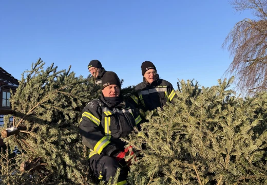 Tannenbaumaktion – Bild 4