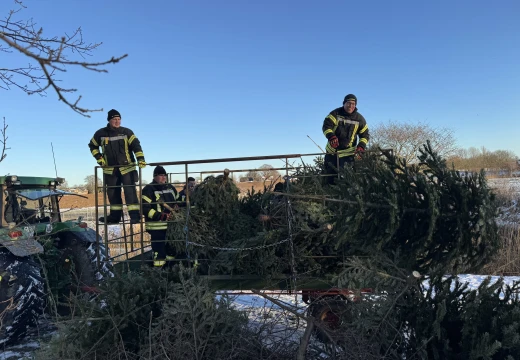 Tannenbaumaktion – Bild 5