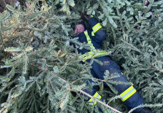 Tannenbaumaktion – Bild 13