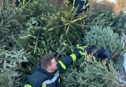 Tannenbaumaktion – Bild 14