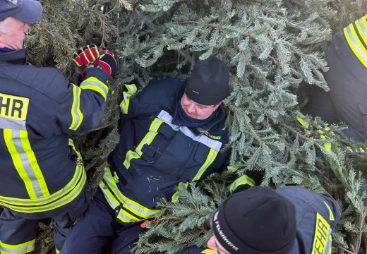 Tannenbaumaktion – Bild 17