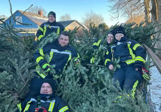 Tannenbaumaktion – Bild 18