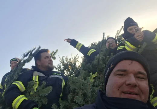 Tannenbaumaktion – Bild 19