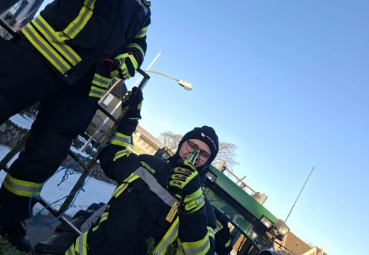 Tannenbaumaktion – Bild 20