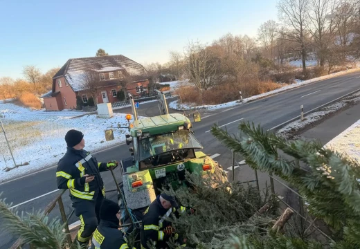 Tannenbaumaktion – Bild 33